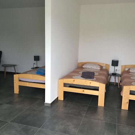 Monteurwohnung 2 Ingelheim am Rhein Exteriör bild