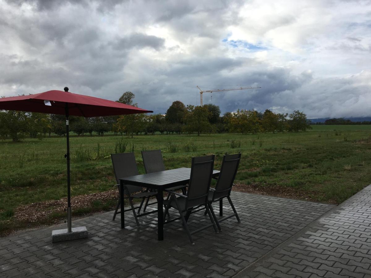 Monteurwohnung 2 Ingelheim am Rhein Exteriör bild